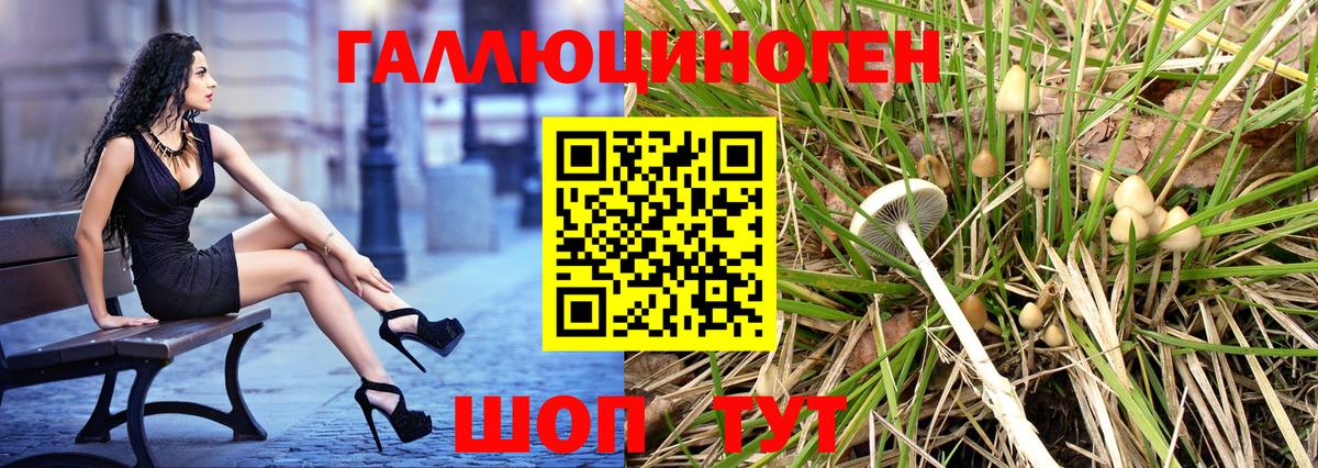 Галлюциногенные грибы прущие грибы  Вход с VPN  Сургут 
