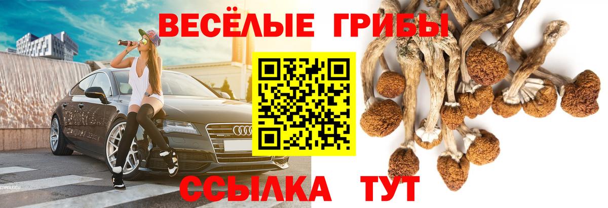 Галлюциногенные грибы MAGIC MUSHROOMS Сургут